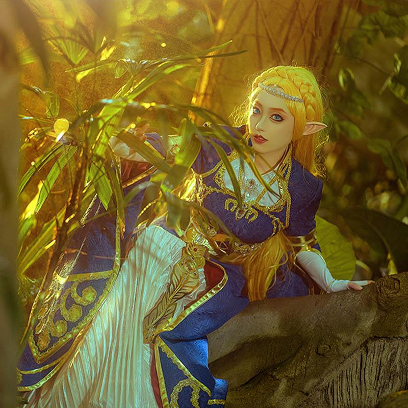 The Legend of Zelda Breath of the Wild Princess Zelda Cosplay costume 