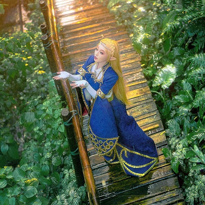 The Legend of Zelda Breath of the Wild Princess Zelda Cosplay costume 