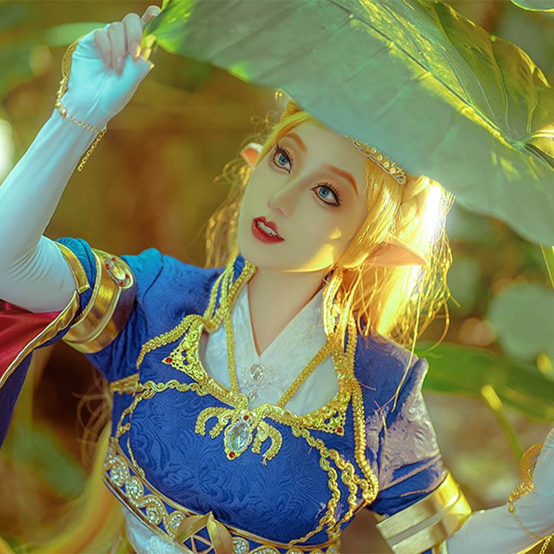 The Legend of Zelda Breath of the Wild Princess Zelda Cosplay costume 