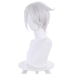 Vanitas no Carte Noe Cosplay Wig