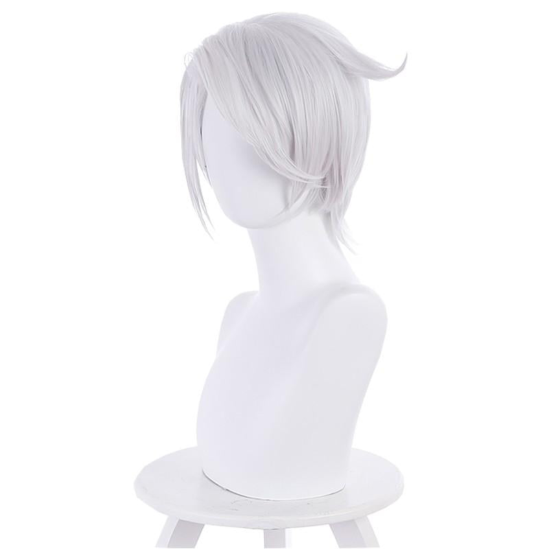 Vanitas no Carte Noe Cosplay Wig