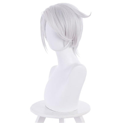 Vanitas no Carte Noe Cosplay Wig
