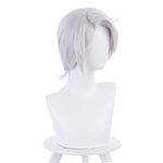 Vanitas no Carte Noe Cosplay Wig