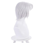 Vanitas no Carte Noe Cosplay Wig