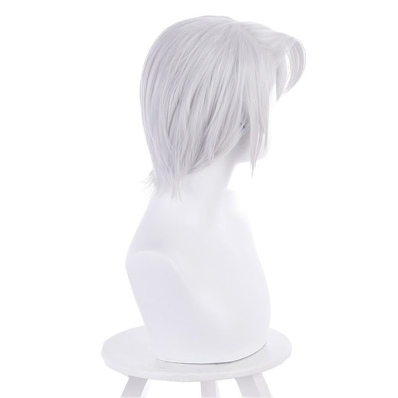 Vanitas no Carte Noe Cosplay Wig