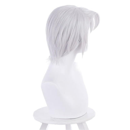 Vanitas no Carte Noe Cosplay Wig