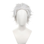 Wind Breaker Hajime Umemiya Cosplay Wig