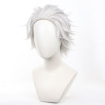 Wind Breaker Hajime Umemiya Cosplay Wig