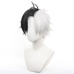 Wind Breaker Haruka Sakura Cosplay Wig