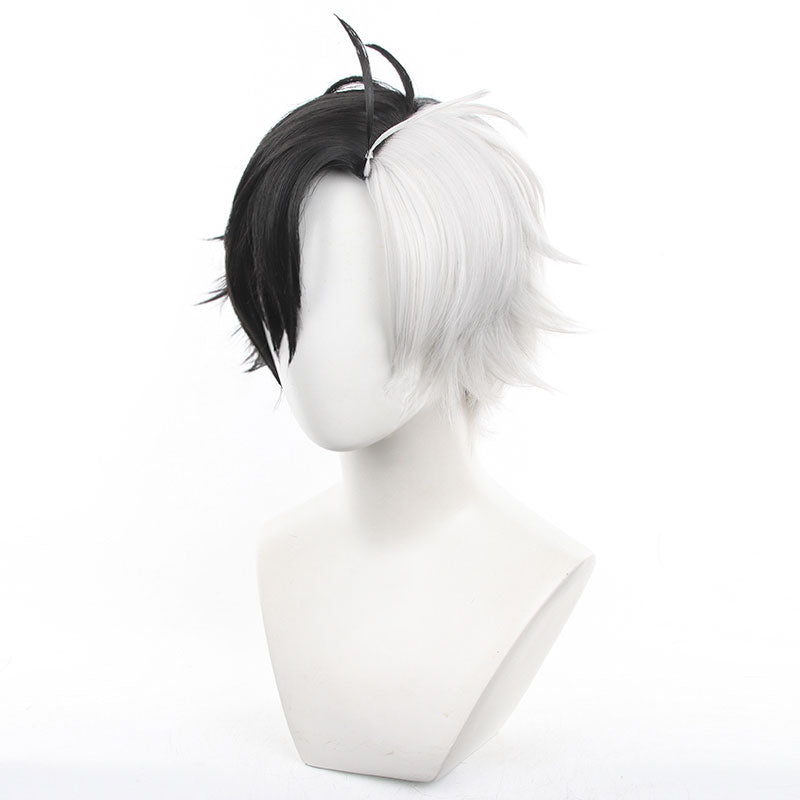 Wind Breaker Haruka Sakura Cosplay Wig