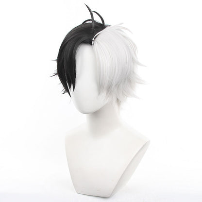Wind Breaker Haruka Sakura Cosplay Wig