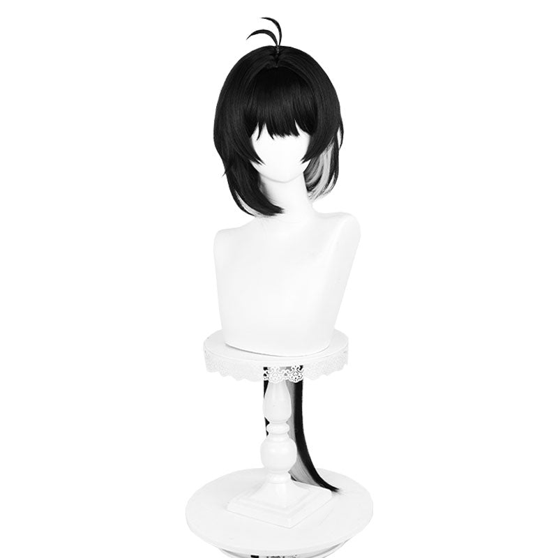 Wuthering Waves Rover Build Female Cosplay Wig