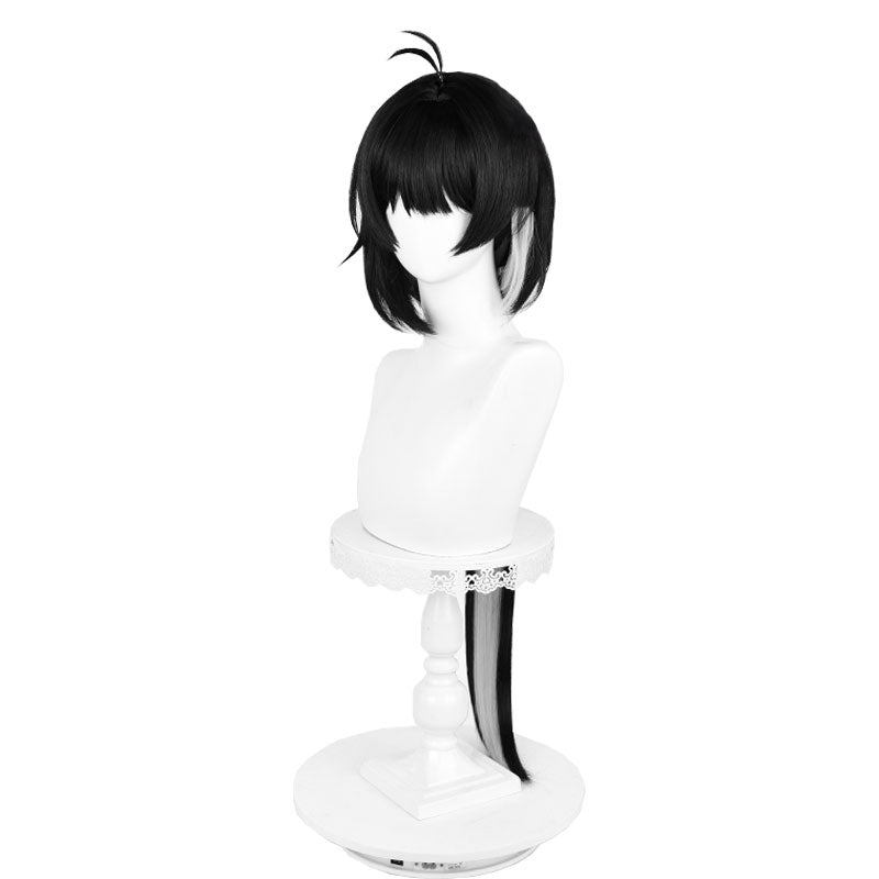 Wuthering Waves Rover Build Female Cosplay Wig