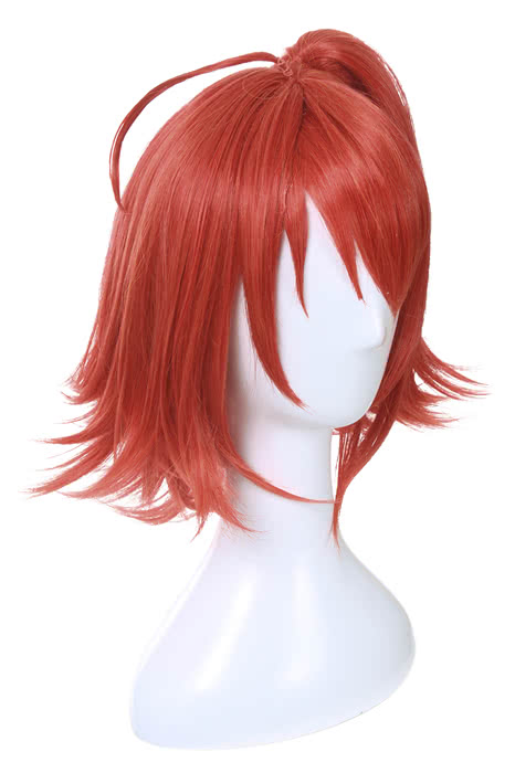 Fate/Grand Order Grand Master Olgamally Animusphere Short Straight Orange Red Synthetic Female Cosplay Wigs