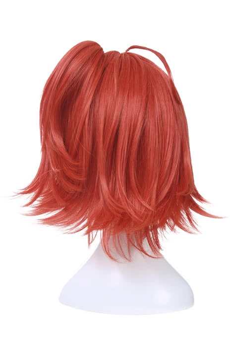 Fate/Grand Order Grand Master Olgamally Animusphere Short Straight Orange Red Synthetic Female Cosplay Wigs
