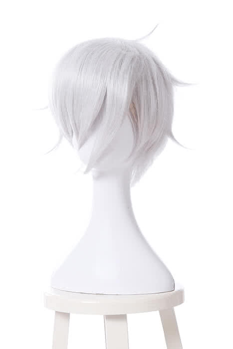 Land of the Lustrous Houseki no Kuni Antarcticite Silver White Cosplay Wigs
